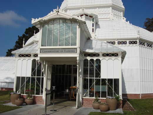 サンフランシスコのゴールデンゲートパーク散策：温室植物園とデ・ヤング美術館への道｜HAL卒業旅行記Day3｜🇺🇸USA 2007 🌳🏛️