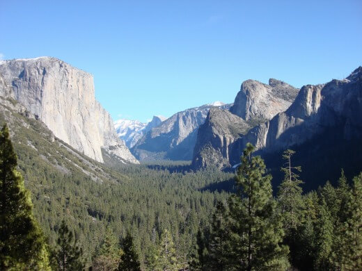 世界遺産ヨセミテ国立公園観光ガイド：ハーフドームの絶景と野生の鹿に遭遇｜HAL卒業旅行記Day2｜🇺🇸USA 2007 🌲🏔️