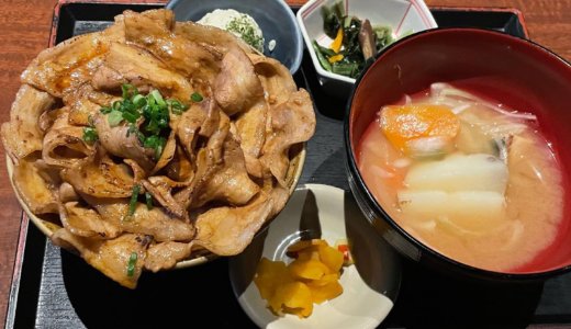 【株主優待ディナー🍽】北の味紀行と地酒北海道 で「北海道名物豚丼定食」を頂く❣️