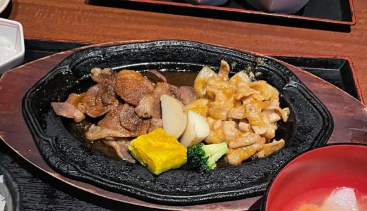 【株主優待ディナー🍽】北の味紀行と地酒北海道で「ジンギスカンと味噌漬け豚の鉄板焼き定食」を頂く❣️