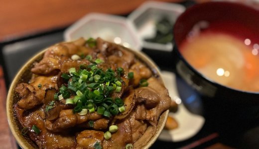 【株主優待ランチ🍽】北の味紀行と地酒北海道 で「北海道名物 豚丼定食」を頂く❣️