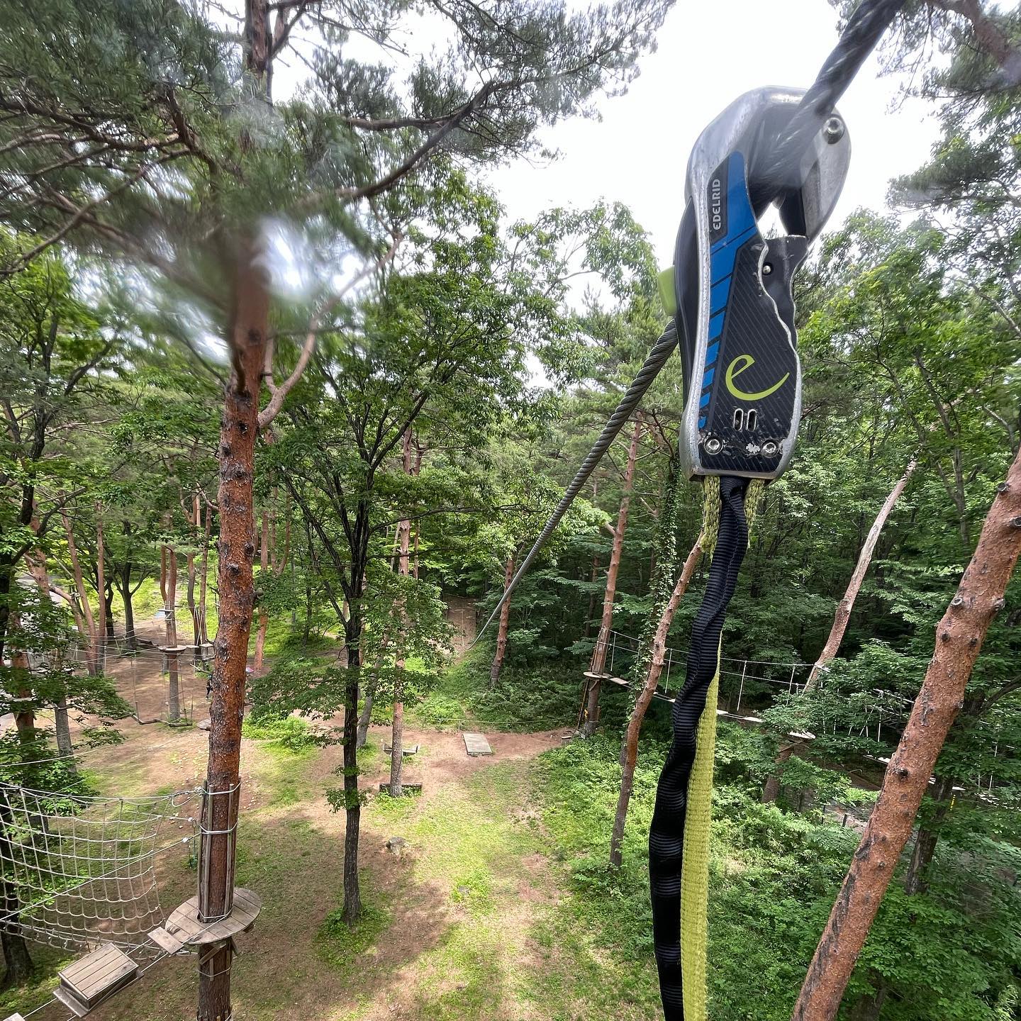 那須 NOZARU宿泊者特典でお得に空中アスレチック体験｜🇯🇵栃木旅Day3-前編🐒🌲