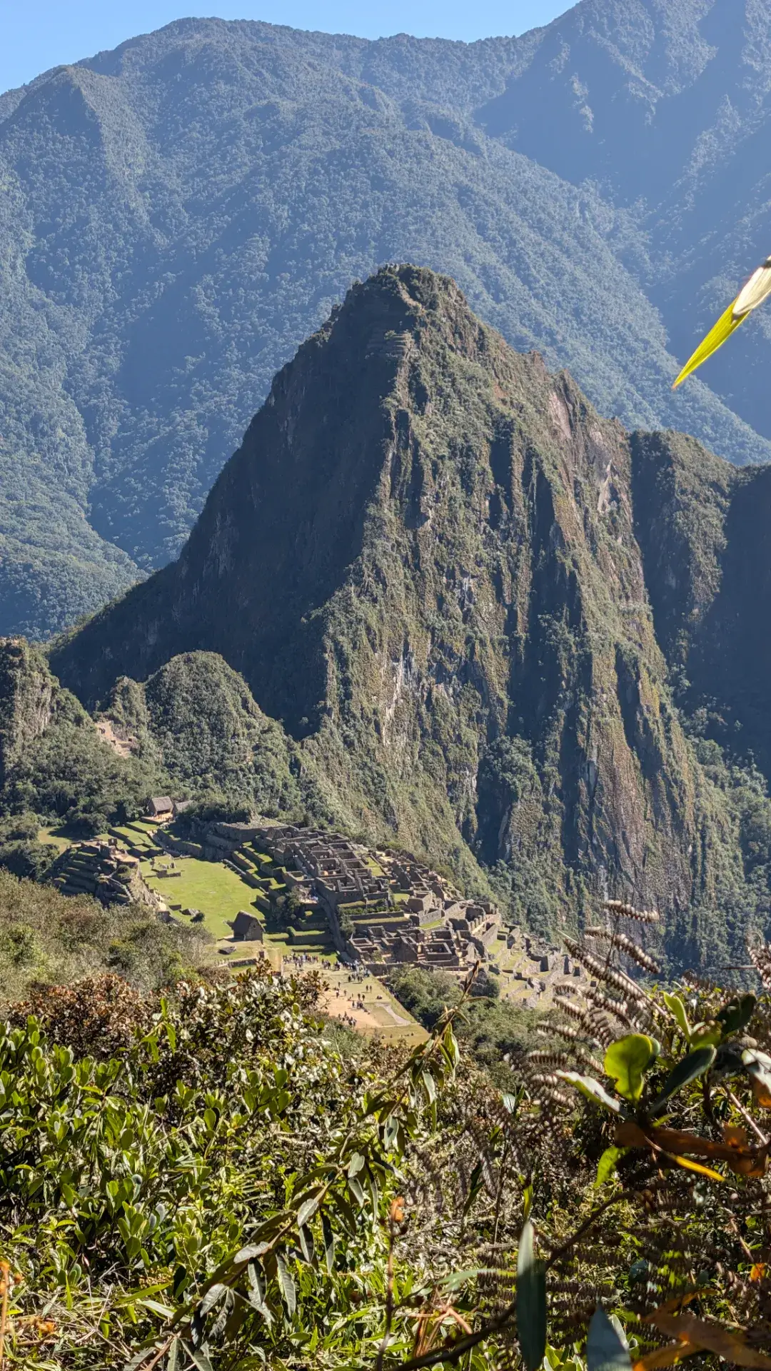 マチュピチュ山の急な石段を登り、振り返った瞬間に広がる驚異的なパノラマ。精巧な石造りの建造物が並ぶマチュピチュ遺跡が、深い緑の谷に抱かれるようにして姿を現します。遺跡の背後には、鋭くそびえるワイナピチュ山が鎮座し、その奥にはウルバンバの深い山々が連なる圧巻の景色。標高が高くなるにつれ、空中都市と呼ばれる所以が肌で感じられる、この旅のクライマックスにふさわしい壮大な光景です。
