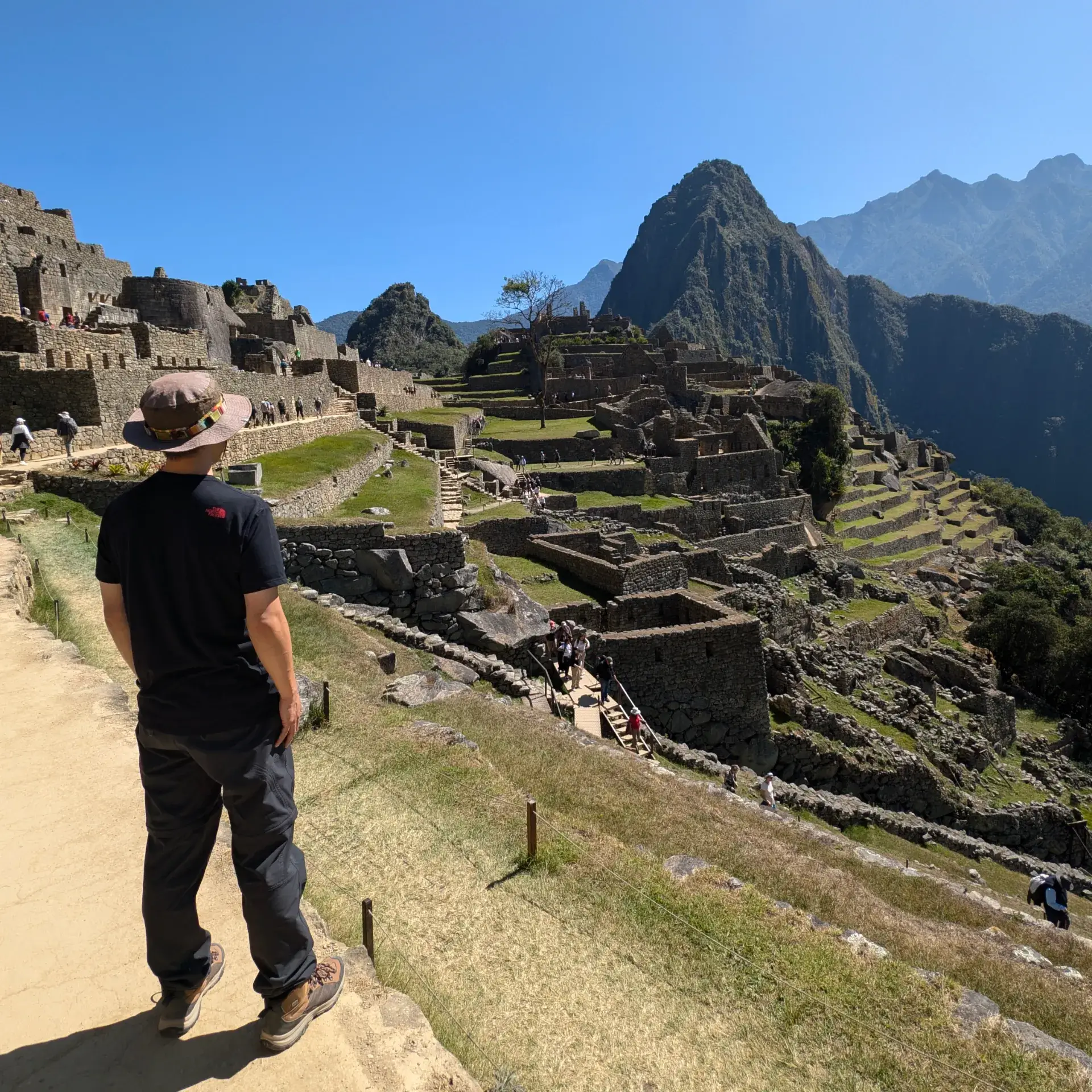 遺跡内の通路を歩き、開けた展望ポイントで足を止めて眺めるマチュピチュの全景。目の前には、空を突くようなワイナピチュ山の雄姿と、その麓に整然と広がる石造りの遺構が、澄み切った青空の下で輝いています。