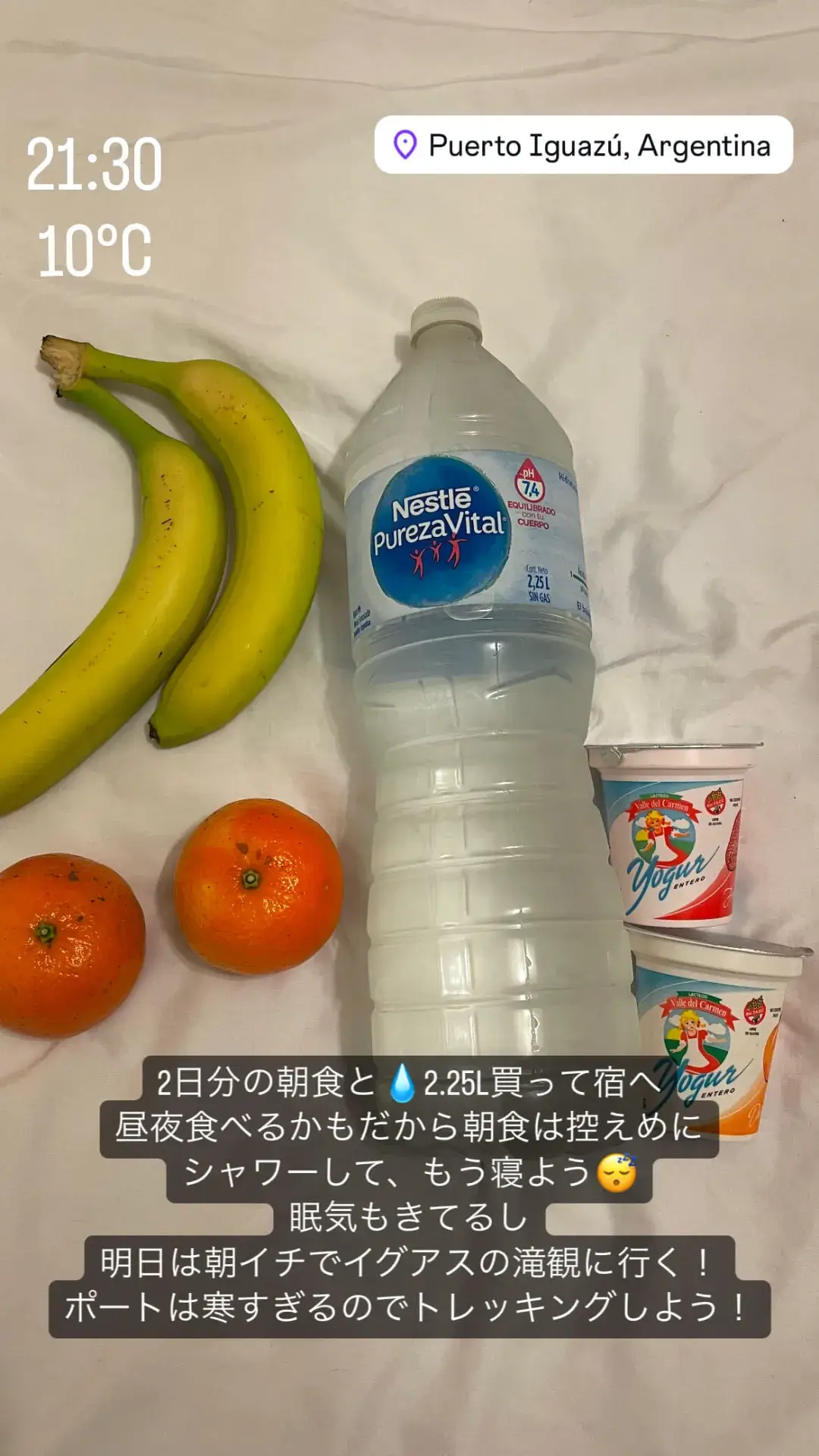 翌日の朝食用に購入したヨーグルト、フルーツ、大きなボトル水
