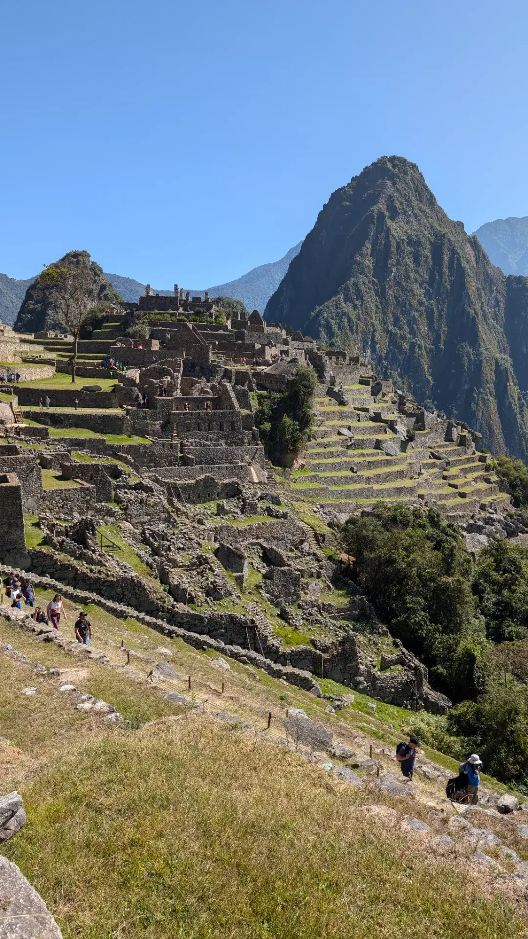 マチュピチュ遺跡内の石段を下りながら、次なるエリアへと向かう旅人たち。斜面に沿って幾層にも重なる段々畑（アンデネス）と、その間に張り巡らされた精巧な通路が、この都市がいかに緻密な計算のもとに設計されたかを物語っています。見上げるワイナピチュ山の雄大な姿と、歴史の断片を求めて歩く現代の訪問者たち。静止した過去の遺構に、今を生きる人々のエネルギーが吹き込まれる、マチュピチュならではの活気に満ちた一コマです。